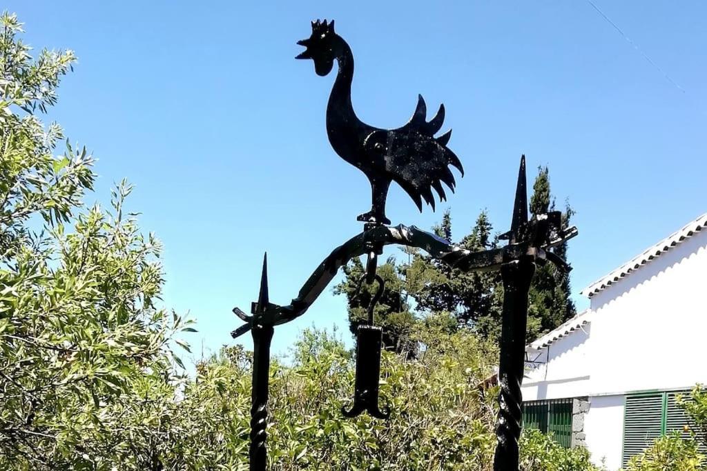 Casa La Veguetilla En San Mateo Vega de San Mateo Εξωτερικό φωτογραφία