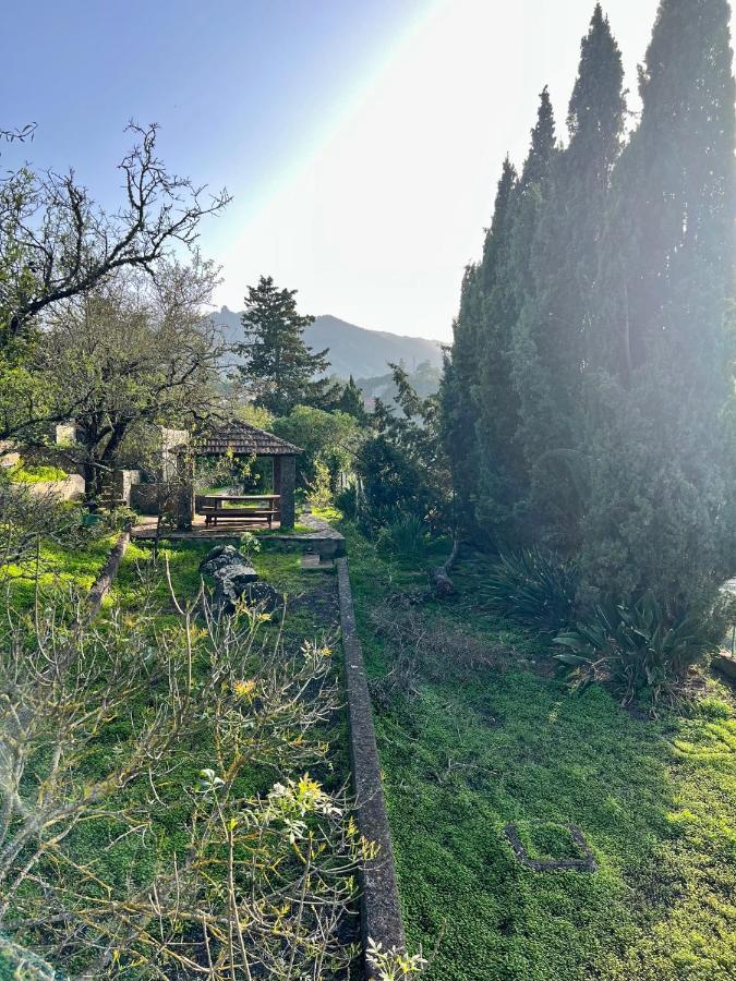 Casa La Veguetilla En San Mateo Vega de San Mateo Εξωτερικό φωτογραφία