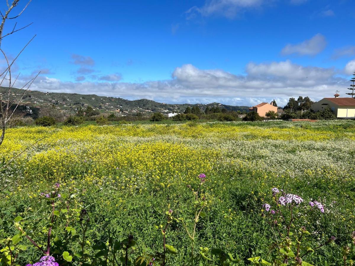 Casa La Veguetilla En San Mateo Vega de San Mateo Εξωτερικό φωτογραφία